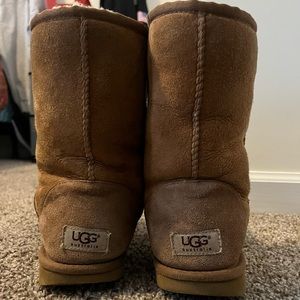 Short Chestnut Ugg